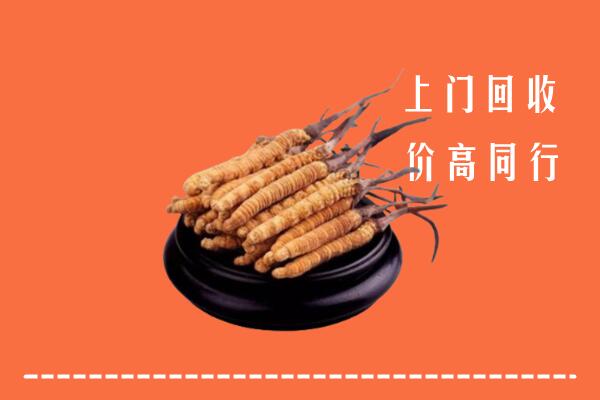 高价求购：池州市青阳县回收散虫草
